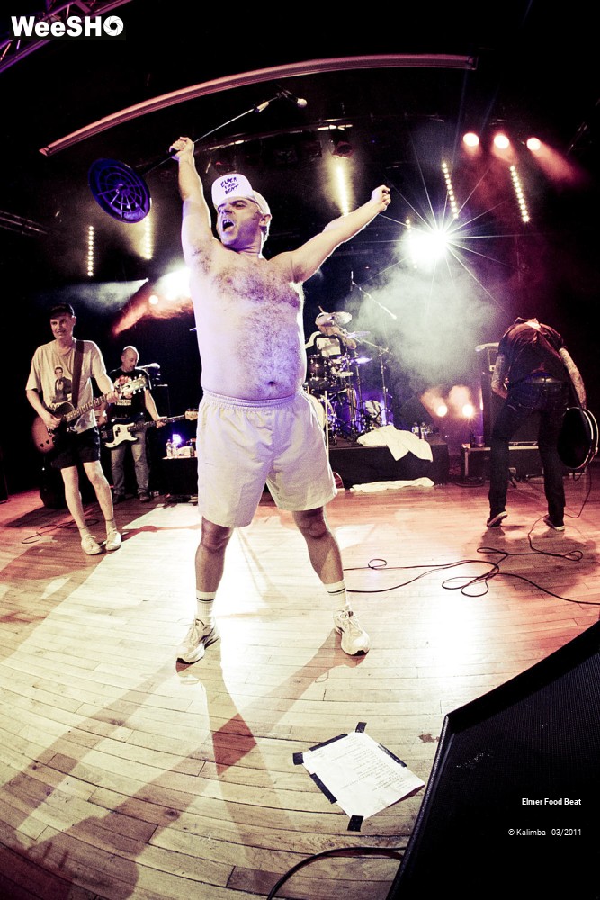28/50 photos du spectacle Elmer Food Beat