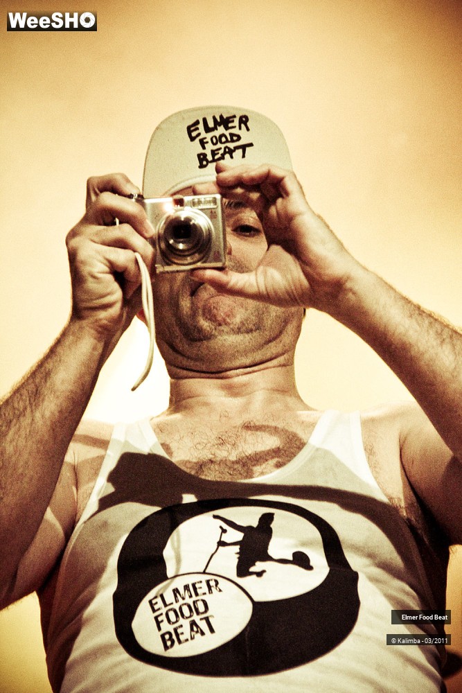 30/50 photos du spectacle Elmer Food Beat