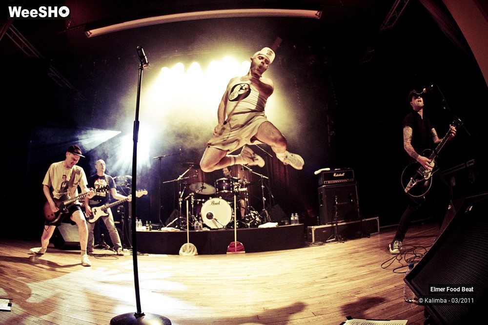 36/50 photos du spectacle Elmer Food Beat