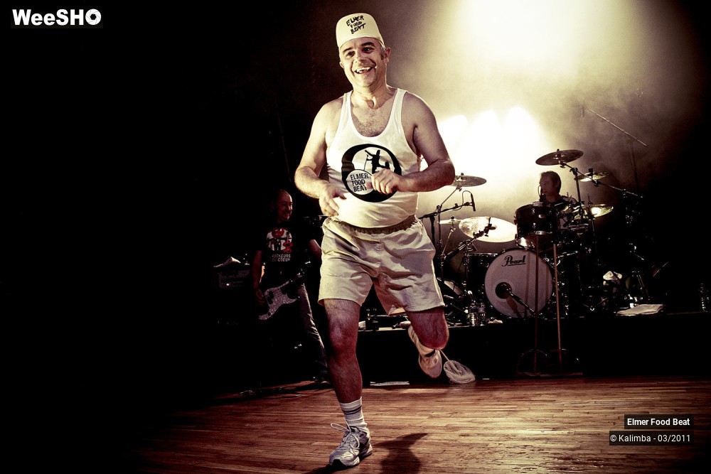 40/50 photos du spectacle Elmer Food Beat