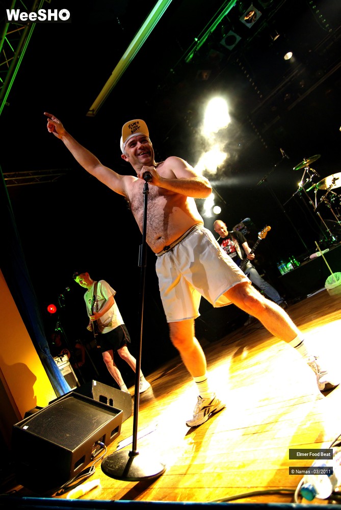 19/44 photos du spectacle Elmer Food Beat