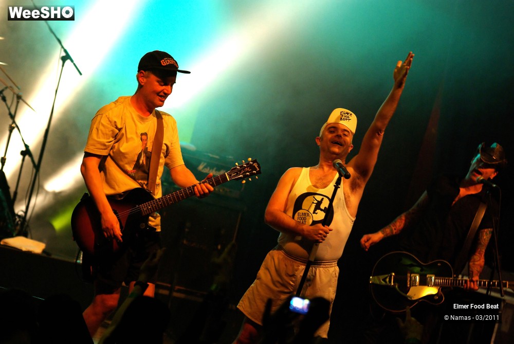 28/44 photos du spectacle Elmer Food Beat