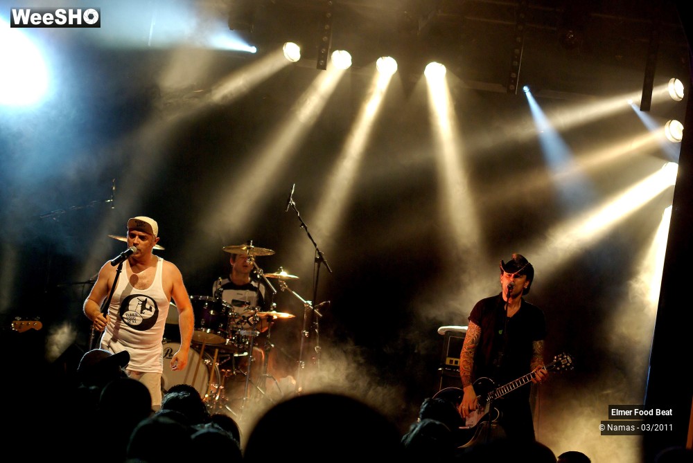 29/44 photos du spectacle Elmer Food Beat