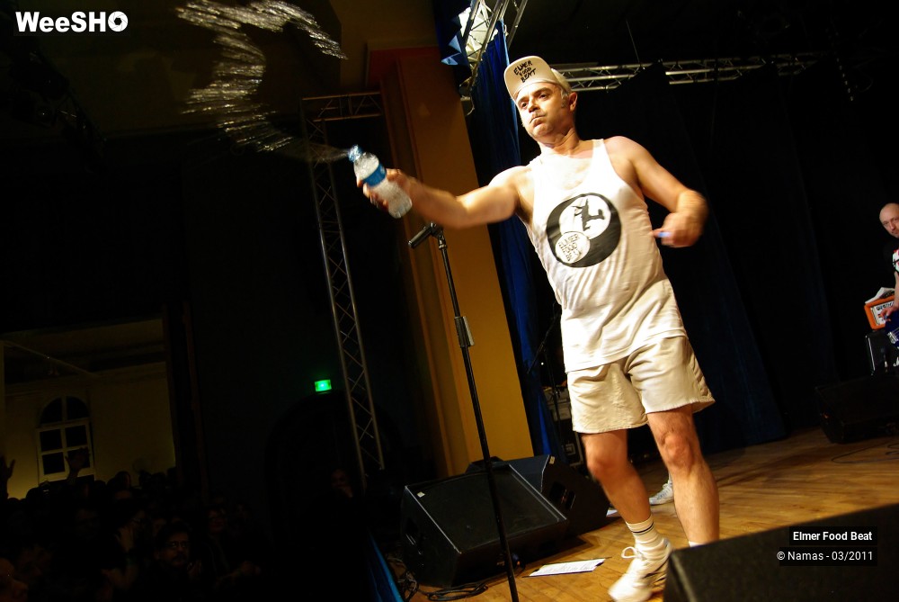 36/44 photos du spectacle Elmer Food Beat