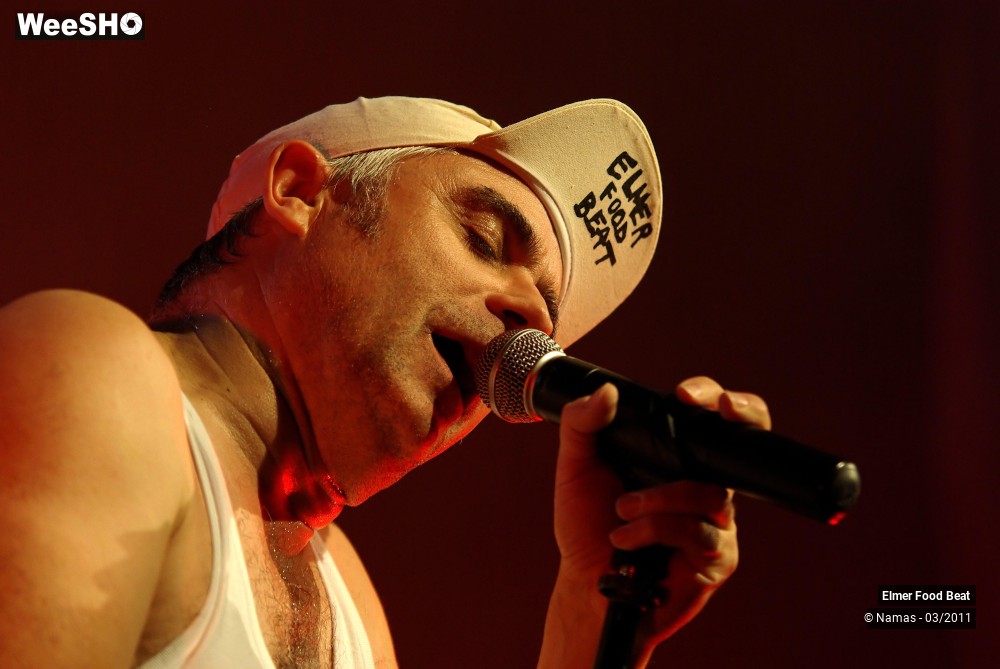 41/44 photos du spectacle Elmer Food Beat