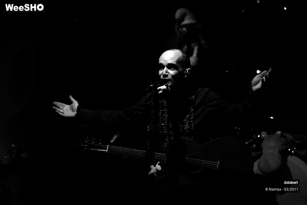 20/27 photos du spectacle Aldebert