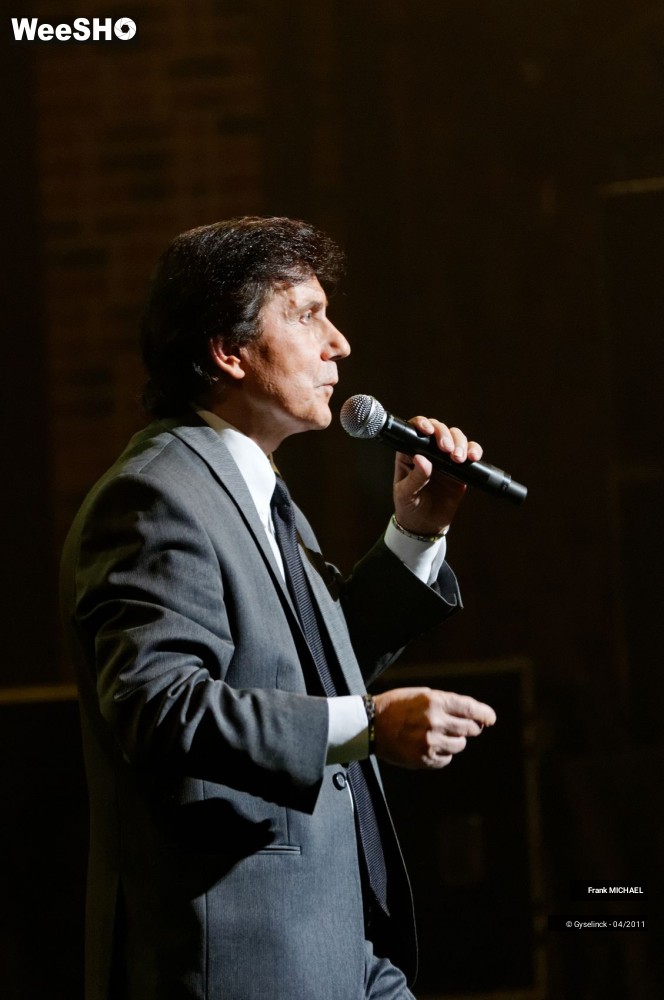 21/38 photos du spectacle Frank MICHAEL