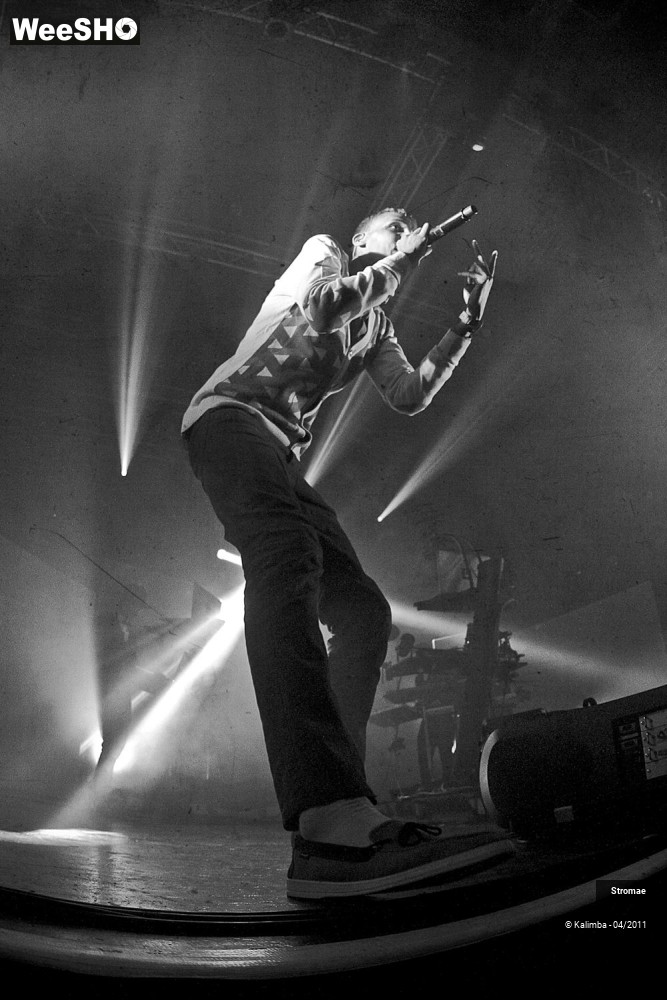 12/44 photos du spectacle Stromae