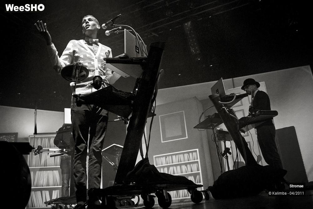 29/44 photos du spectacle Stromae