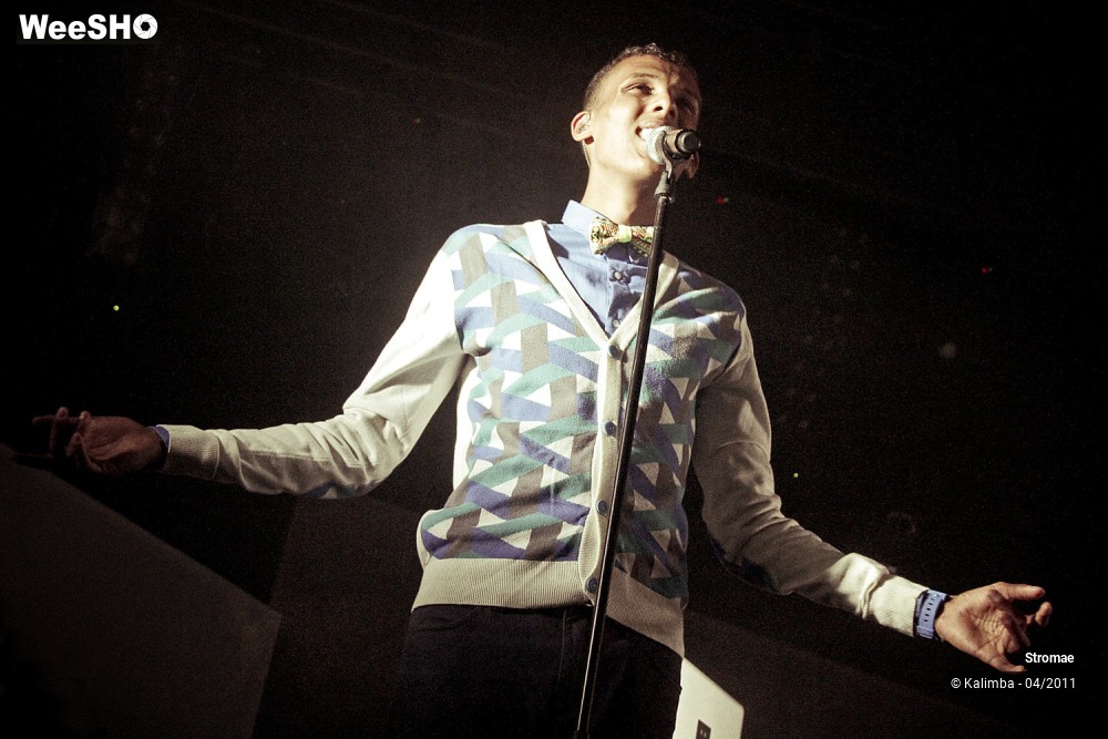 30/44 photos du spectacle Stromae