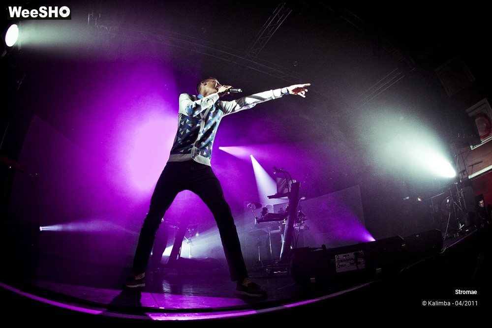 35/44 photos du spectacle Stromae