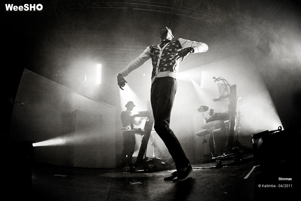 37/44 photos du spectacle Stromae