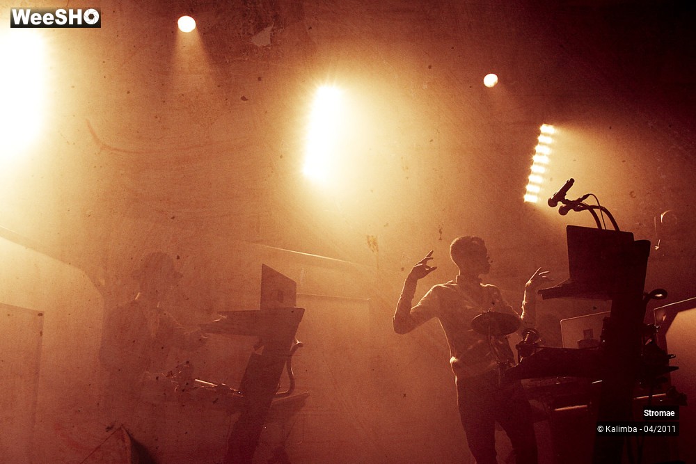 38/44 photos du spectacle Stromae