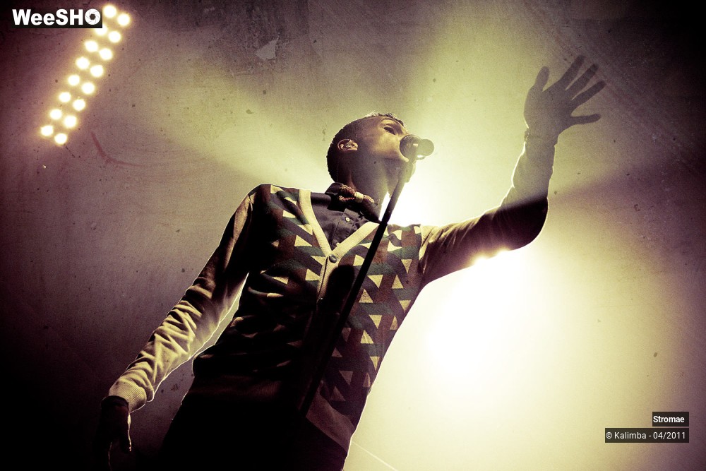 41/44 photos du spectacle Stromae