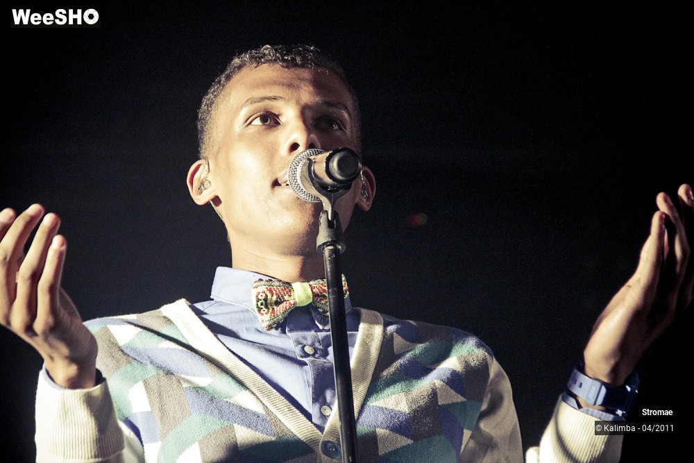 42/44 photos du spectacle Stromae