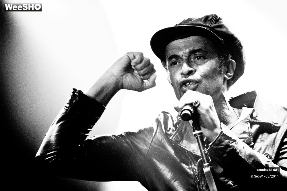 22/31 photos du spectacle Yannick NOAH