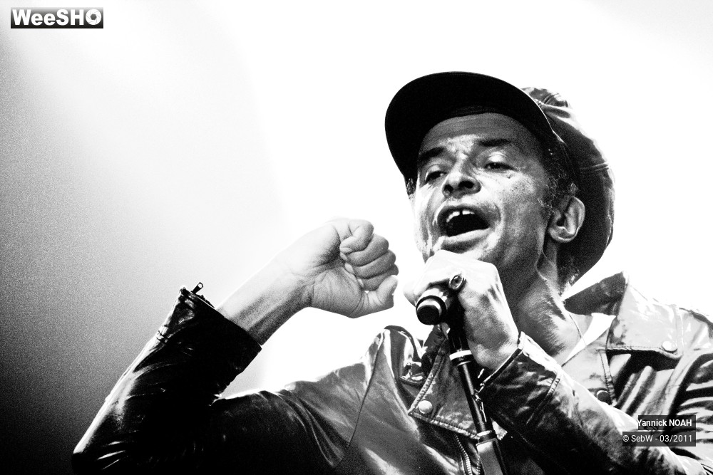 25/31 photos du spectacle Yannick NOAH