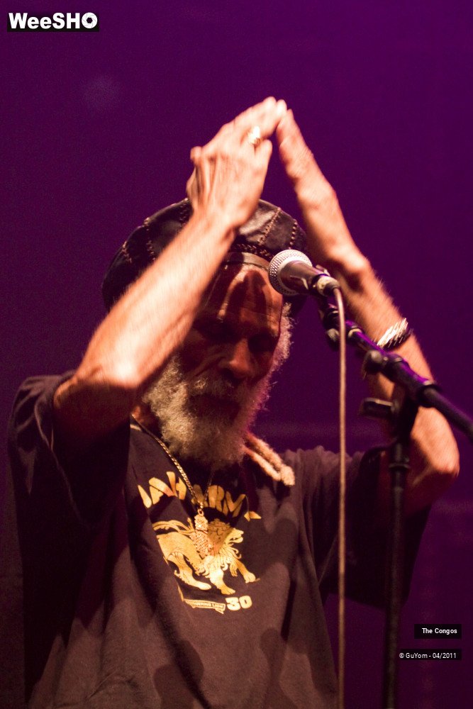 2/40 photos du spectacle The Congos