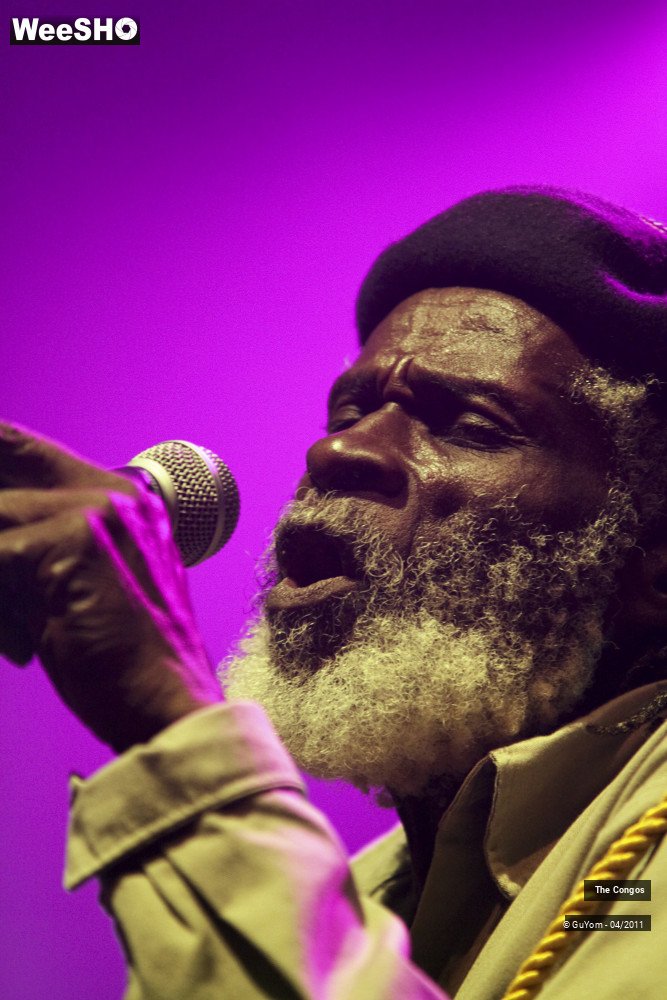 4/40 photos du spectacle The Congos