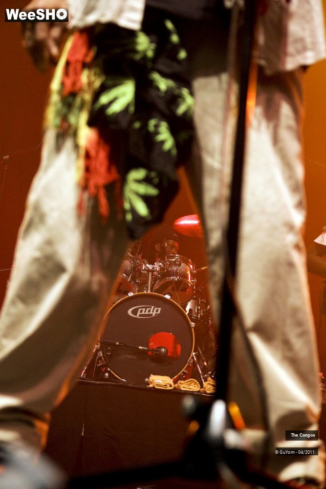 5/40 photos du spectacle The Congos