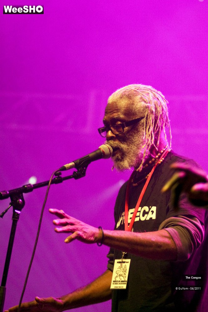 7/40 photos du spectacle The Congos