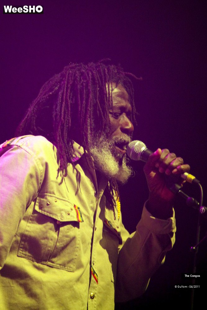 14/40 photos du spectacle The Congos