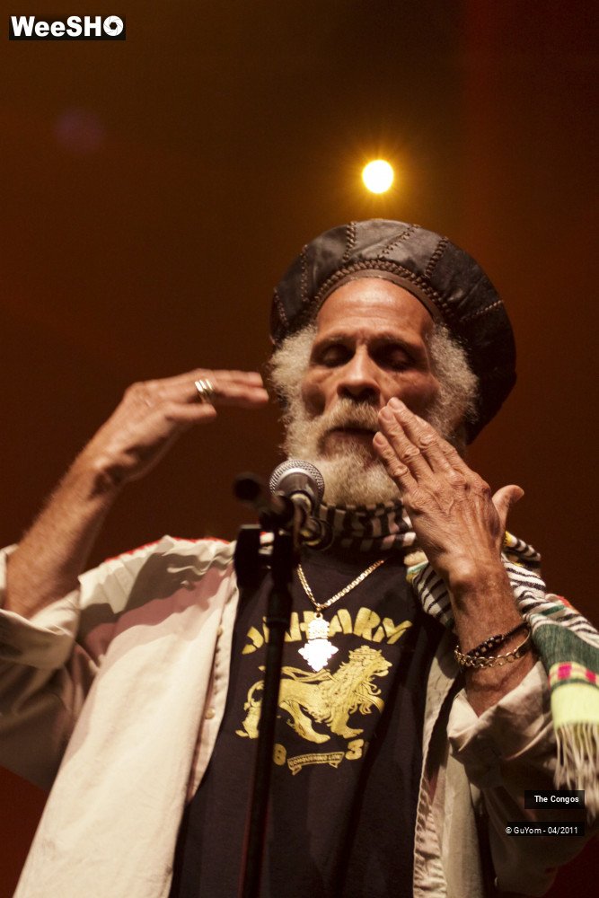 17/40 photos du spectacle The Congos