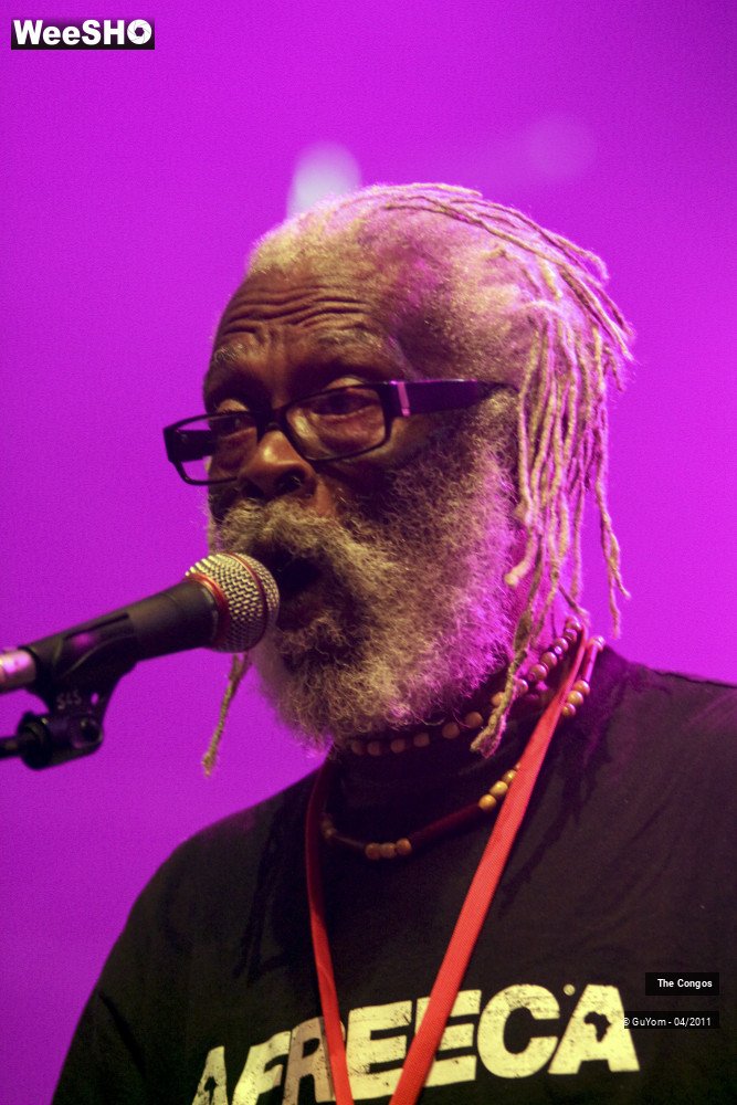 19/40 photos du spectacle The Congos