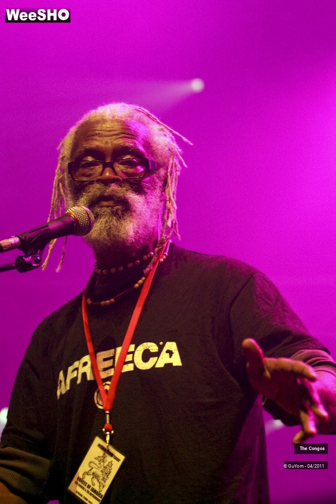 20/40 photos du spectacle The Congos