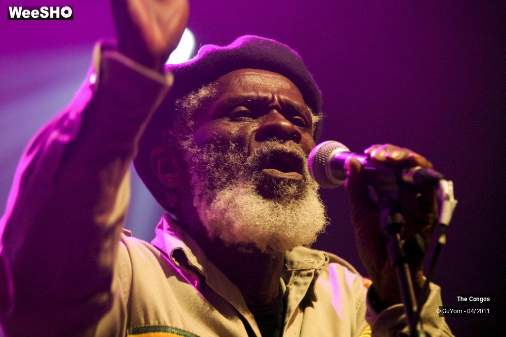 26/40 photos du spectacle The Congos
