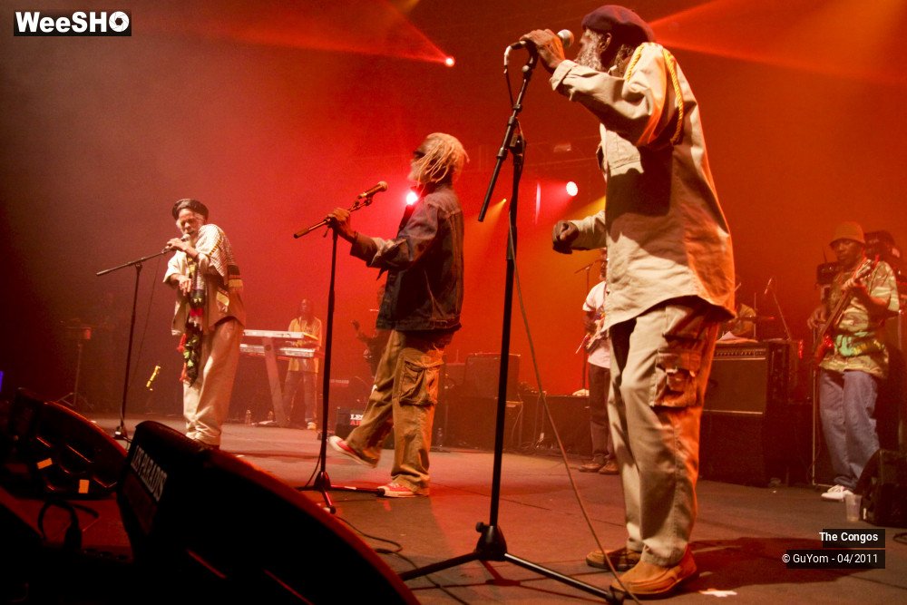 28/40 photos du spectacle The Congos