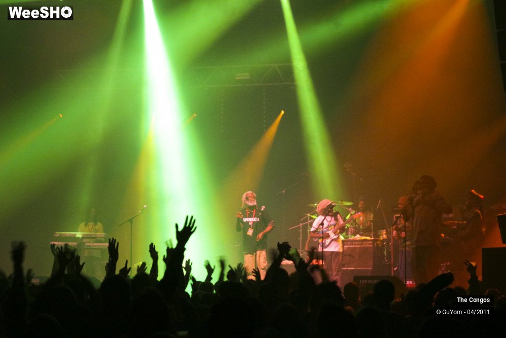 37/40 photos du spectacle The Congos