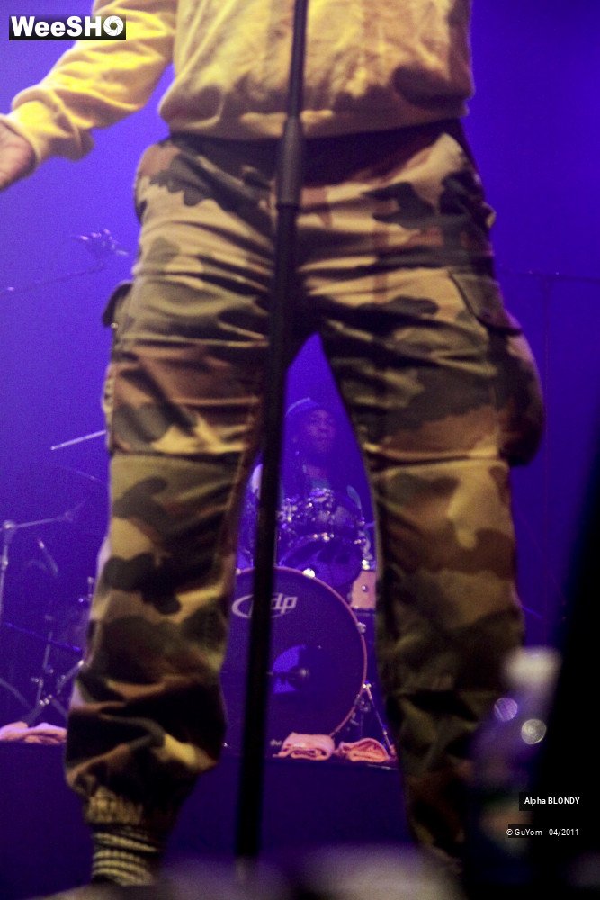 5/46 photos du spectacle Alpha BLONDY