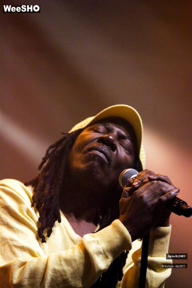 18/46 photos du spectacle Alpha BLONDY