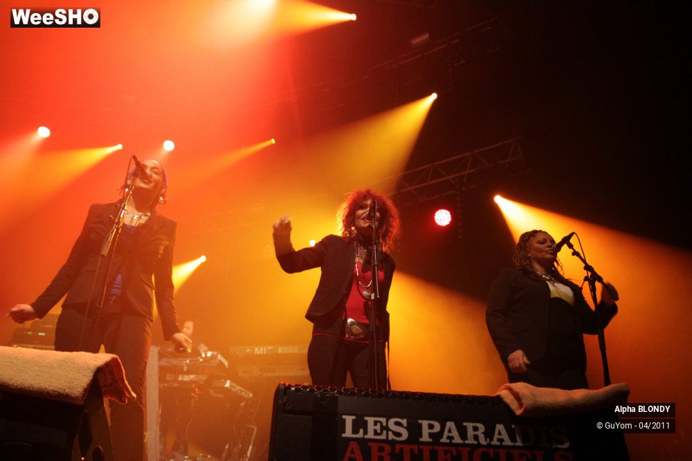 30/46 photos du spectacle Alpha BLONDY