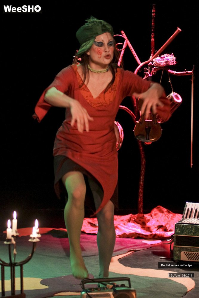 1/51 photos du spectacle Widéo et le Mélomonde
