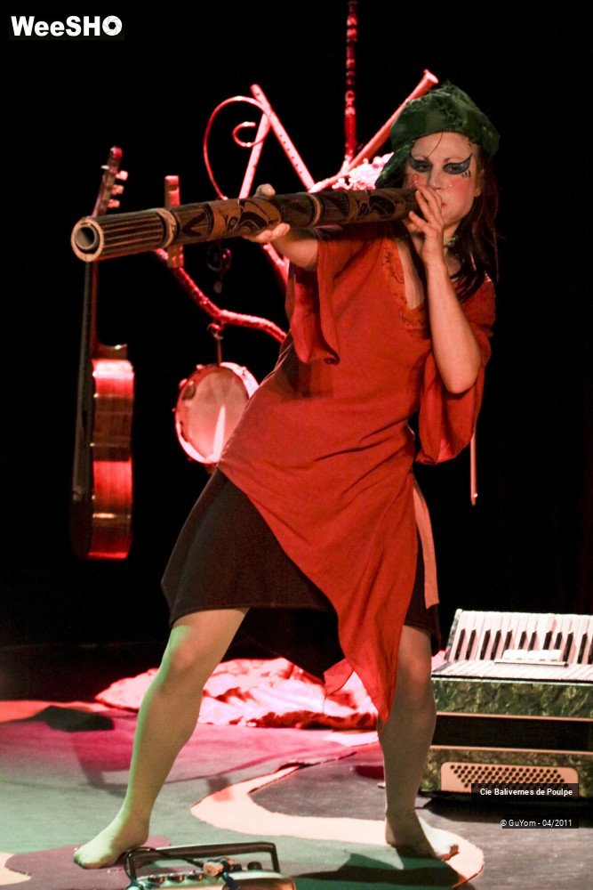 4/51 photos du spectacle Widéo et le Mélomonde