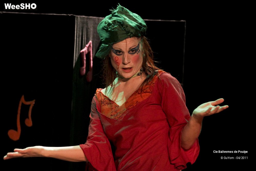 23/51 photos du spectacle Widéo et le Mélomonde
