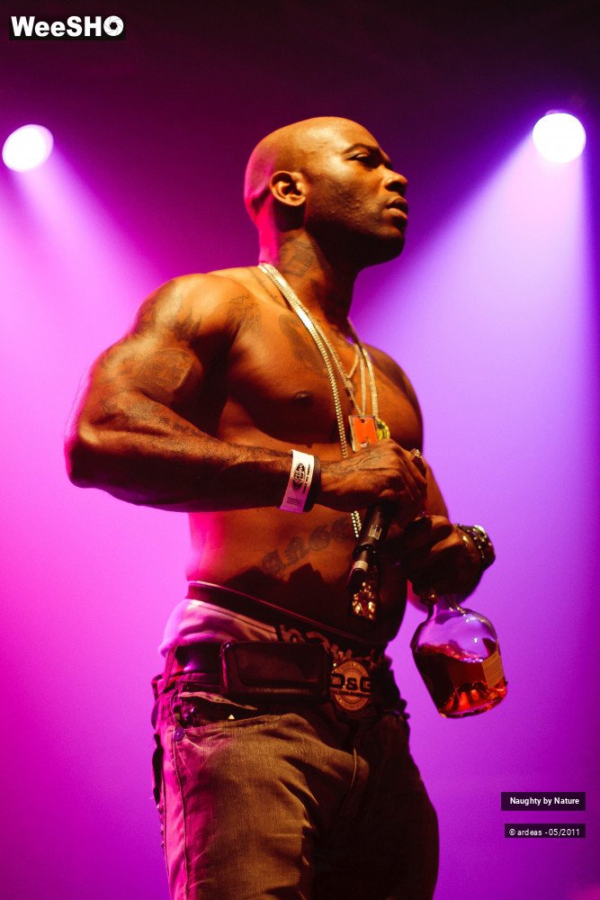 6/38 photos du spectacle Naughty by Nature