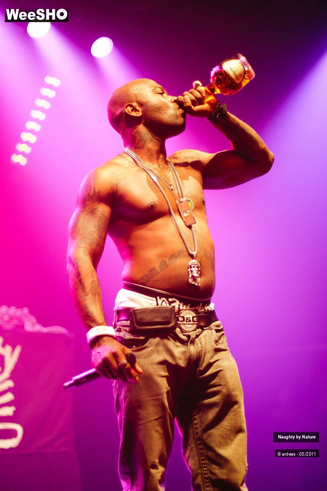 12/38 photos du spectacle Naughty by Nature