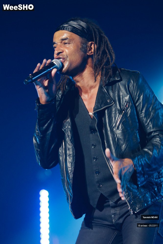 20/47 photos du spectacle Yannick NOAH