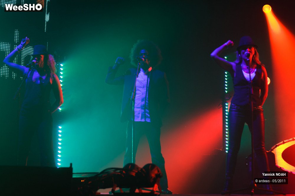 37/47 photos du spectacle Yannick NOAH