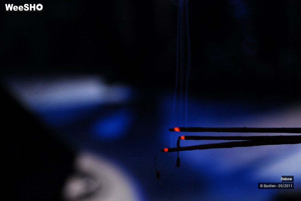 31/37 photos du spectacle Oxbow 