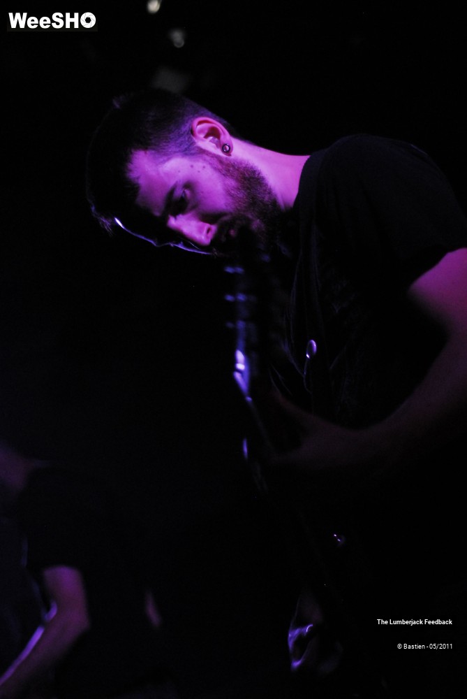 1/25 photos du spectacle The Lumberjack Feedback