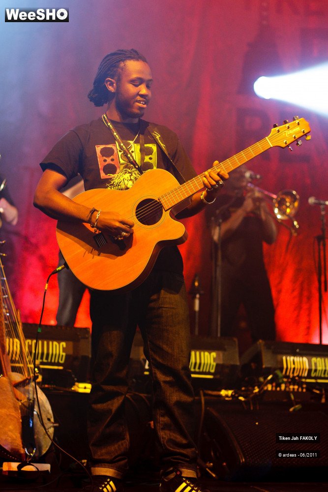 4/48 photos du spectacle Tiken Jah Fakoly