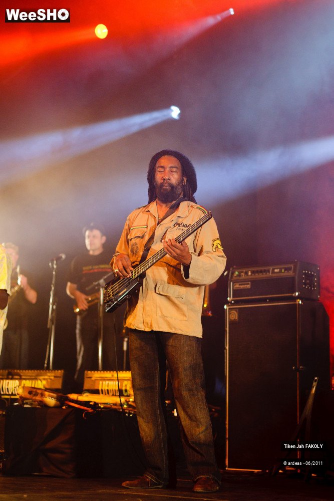 7/48 photos du spectacle Tiken Jah Fakoly