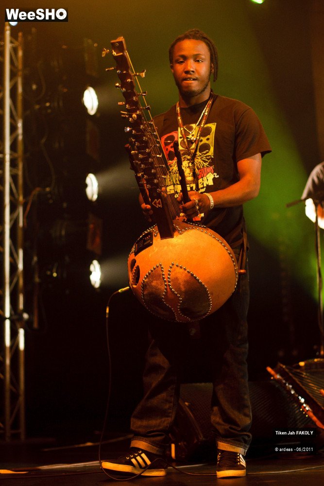 8/48 photos du spectacle Tiken Jah Fakoly