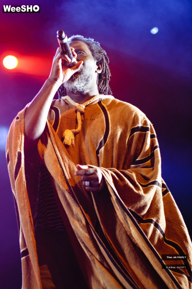 12/48 photos du spectacle Tiken Jah Fakoly