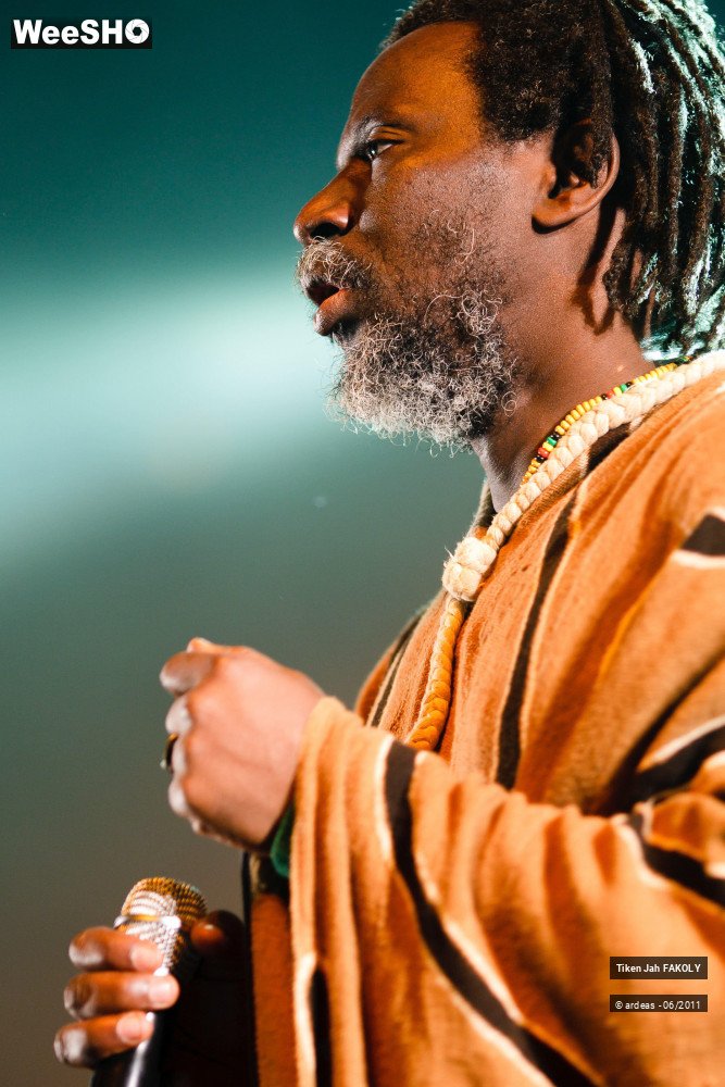 13/48 photos du spectacle Tiken Jah Fakoly