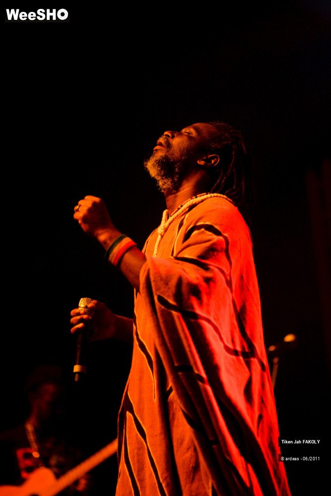 14/48 photos du spectacle Tiken Jah Fakoly